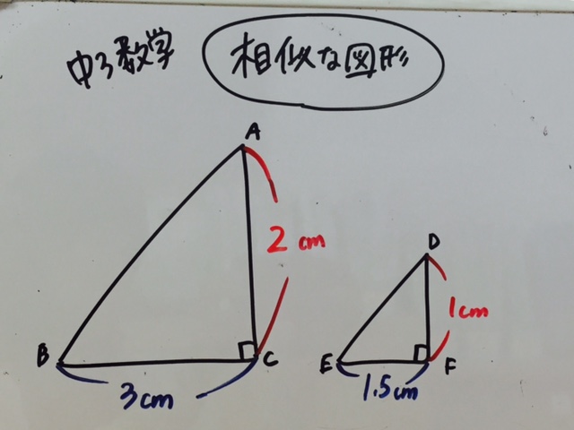 群馬県渋川市の個別指導塾 ナビ個別指導学院渋川校ホームページ 中3数学 相似な図形