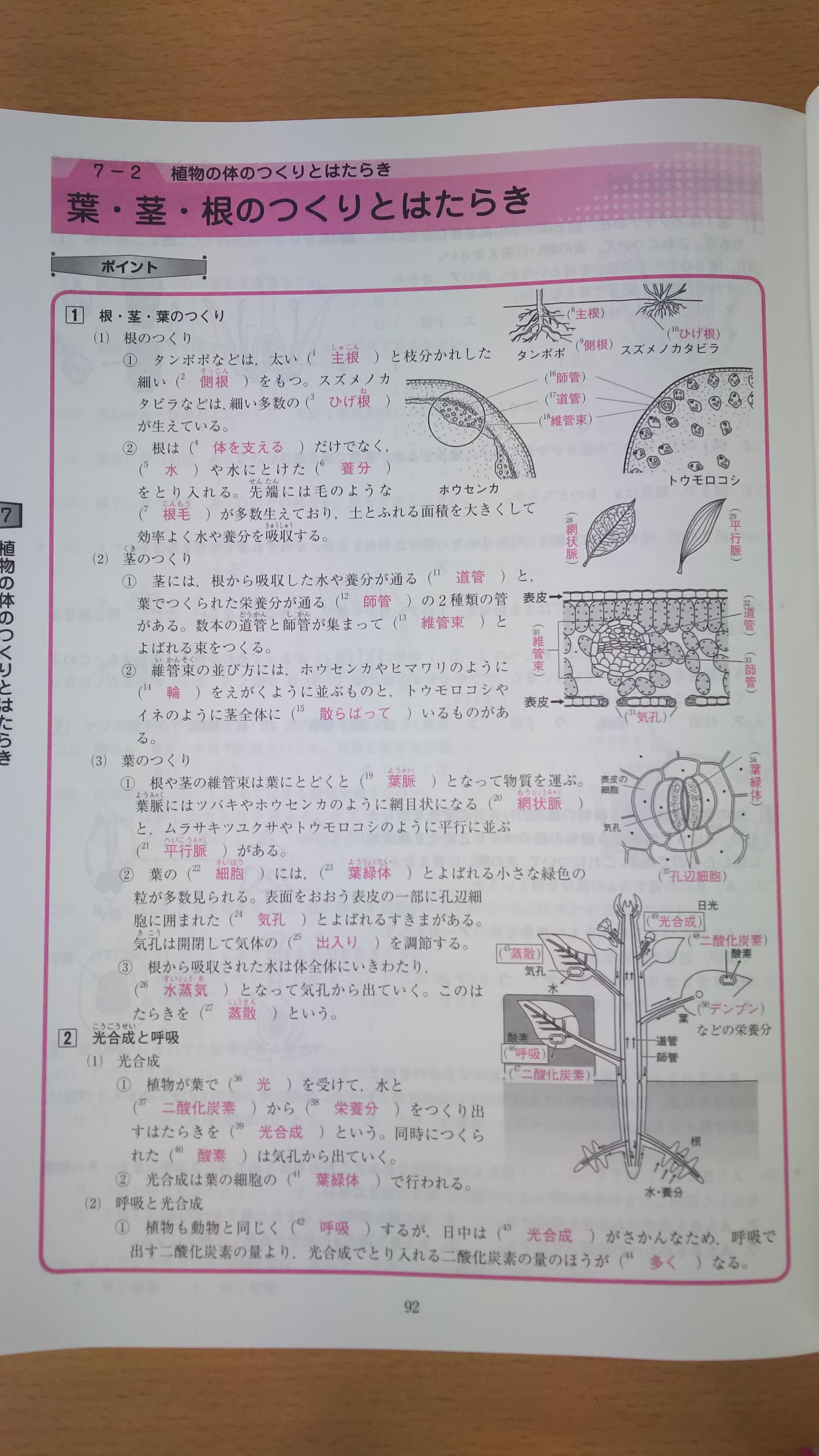 定期テスト 中1理科のポイント 秋田県秋田市の個別塾 学習塾 ナビ個別指導学院 秋田桜校ブログ